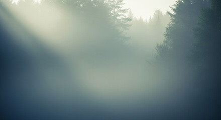 Atmospheric misty forest with light gradient and open copy space for nature or wellness visuals.