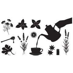 Herbal tea ingredients and preparation silhouette collection