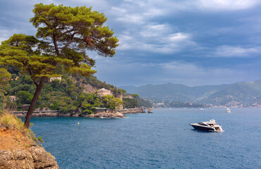 Coastal view with pine trees, villas and yacht in Portofino, Italy, Liguria region