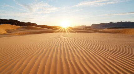 Endless dunes bathed in sunlight create peaceful desert landscape at sunset