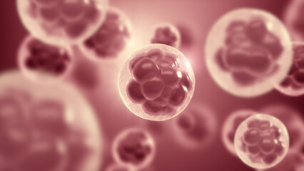3D rendered microscopic view of Embryonic stem cell, Laboratory, Science technology concept