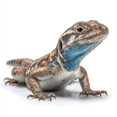 Hyperrealistic lizard image studio setting gigapixel quality detailed viewpoint wildlife concept