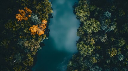 Aerial view of a river surrounded by lush green and yellow trees.