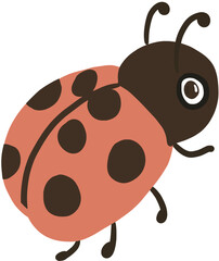 ladybird vector illustration