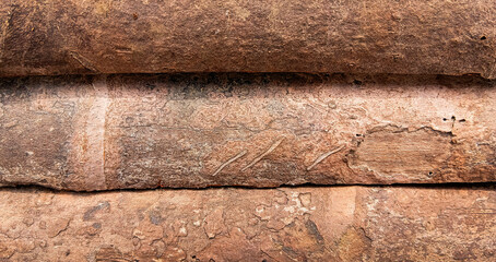 Macro close-up of aged, waterlogged bamboo splits texture. Features wood decay, deep cracks, and rustic grunge appeal. Suitable for environment and design.