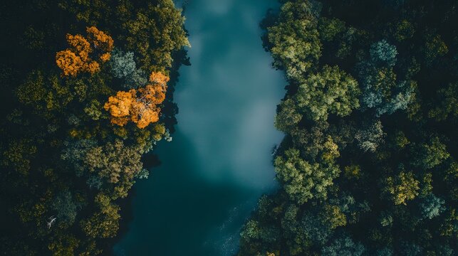Aerial view of a river surrounded by lush green and yellow trees.