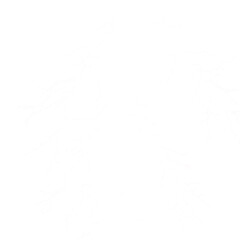 White lightning bolt branches on black background isolated on a transparent background 