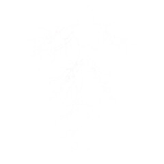 White lightning bolt branching pattern isolated on... isolated on a transparent background