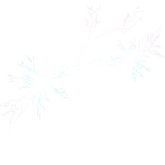 White neuron with colorful branching dendrites isolated on a transparent background