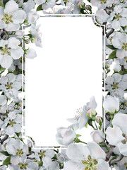 Watercolor frame with white apple blossoms and green leaves surrounding text space on white background, suitable for wedding invitations, greeting cards, posters and spring designs
