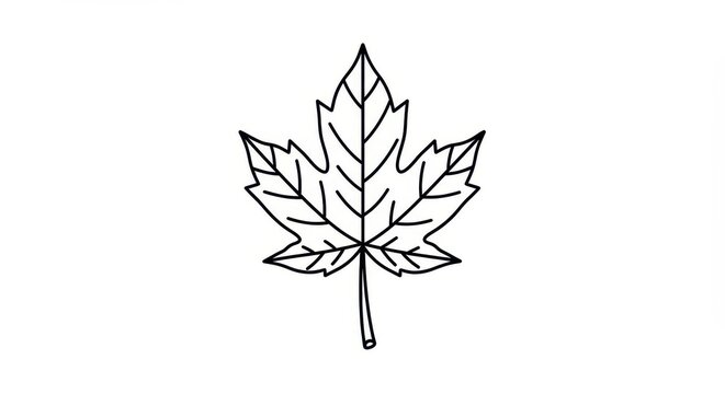 Outline drawing of a single deciduous foliage specimen featuring deep lobes and a stem