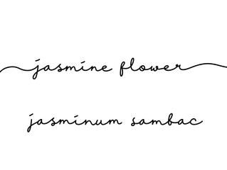Elegant Handwritten Script of Jasmine Flower Names on White Background