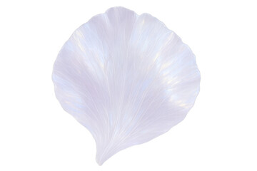 White translucent falling petal with delicate texture floating against a transparent background, symbolizing purity and fragility