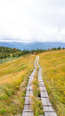 Autumn Colors on the Slopes of Oze Marshland in Late September
Taken on September 30, 2025, in Fukushima Prefecture, Japan.