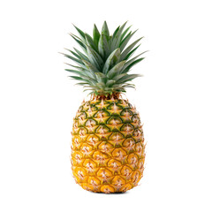Fototapeta premium A tropical pineapple with spiky green leaves and golden-yellow skin. full length isolate on transparent background