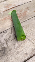 Opogona subcervinella,Banana worms