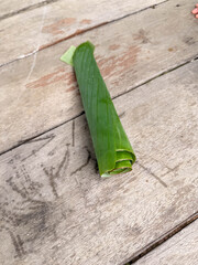 Opogona subcervinella,Banana worms