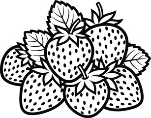 Fresh Strawberries Line Art Illustration