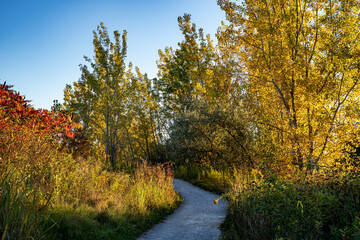 View of Tommy Thompson Park in Toronto.