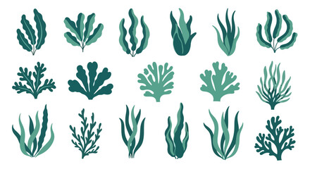 A collection of stylized seaweed and algae illustrations in various shapes and shades of green, isolated on a white background. © emiloo
