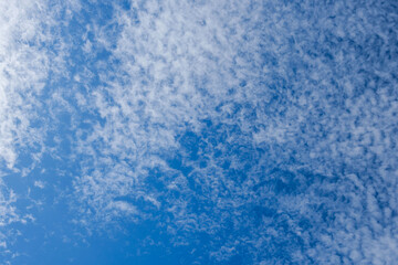 秋の空　穏やかな青空と雲159