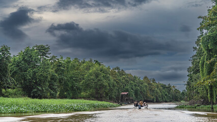 A tourist motorboat is sailing along the channel of a tropical river.  Impenetrable thickets of rain forest trees on the shores. Green grass, water hyacinths grow by the water. Clouds in the sky.  