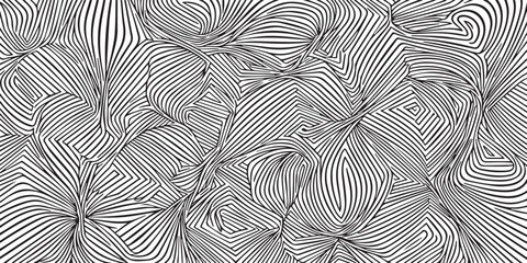 An abstract illustration featuring elegant curved lines forming geometric and flowing patterns