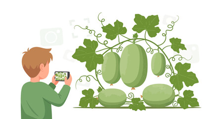 A Person Captures The Vegetables Using Phone Creating Modern Illustration and Creative Work