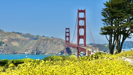 Suspension Bridge with Colorful Wildflowers in Foreground