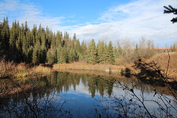 Fototapeta premium Reflections In The Water, Whitemud Park, Edmonton, Alberta