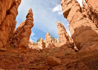 Orange hoodoos in the amphitheater of Bryce Canyon National Park in Utah.