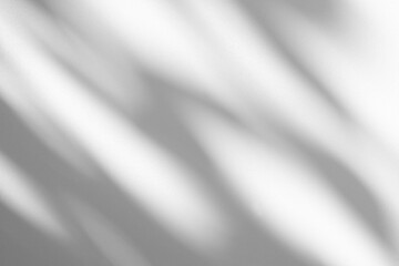 Naklejka premium Wall interior background, studio and backdrops show products.with shadow from window color white and grey. background for text insertion and presentation product 