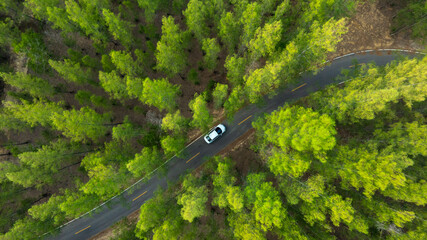 Aerial view of dark green forest road and white electric car Natural landscape and elevated roads...