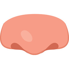 Close Up Pinkish Human Nose With Light Shadow Against A White Background