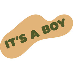 It's A Boy Text Over A Light Brown Blob Shape With Green Olive Color Text Isolated On White Background With Transparent Background