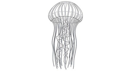 Jellyfish illustration isolated on white background digital graphic art design