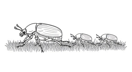 Line art illustration of beetles crawling on green grass isolated