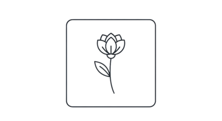 Minimalist floral outline design in square frame with transparent background