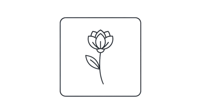 Minimalist floral outline design in square frame with transparent background
