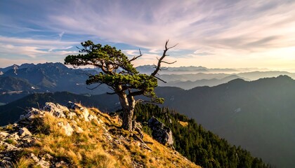 Scenic vista of a solitary, aged evergreen tree on a mountain ridge with a vast expanse of rolling mountains under a vibrant, cloudy sky