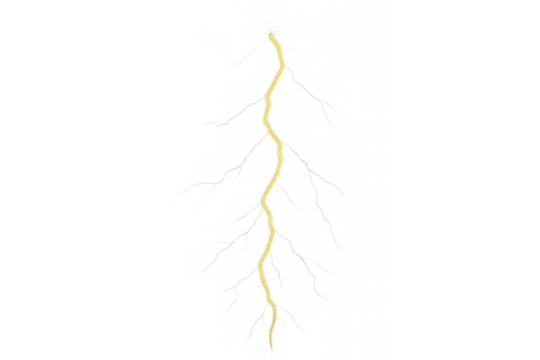 Single strand spaghetti pasta noodle food ingredient flowing or falling, illustration with transparent background