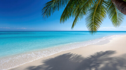 Fototapeta premium Serene Tropical Beach Scene with Clear Blue Waters and Palm Trees under Bright Sunny Sky for Stunning Travel Photography