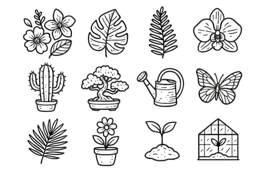 Butterfly variety set flower icon leaf orchid vector pot can botanical