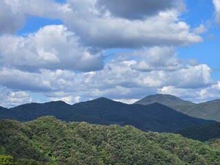 Green trees and leaves, forested mountains and rivers, cloudy sky, sunrise, sunset