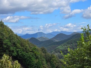 Green trees and leaves, forested mountains and rivers, cloudy sky, sunrise, sunset