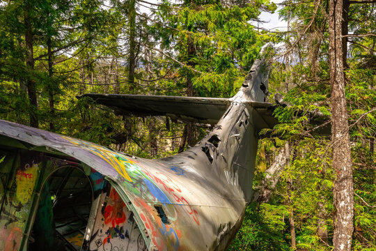 Crash site of the military Canso bomber plane in the dense rainforest in summer, green foliage and sunny day. Tofino, Vancouver island, BC, Canada. - Powered by Adobe