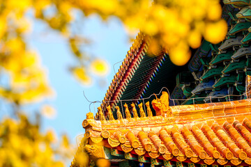 traditional chinese style architecture