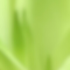 Green abstract background for environment, sustainable, relax, natural, calm, fresh from soft focus of tree top