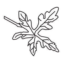 Floral spring vektor for your project. vector clover pattern, flower drawing