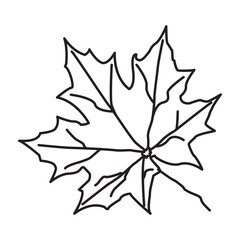 Floral spring vektor for your project. vector clover pattern, flower drawing